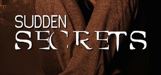 Sudden Secrets Book Launch